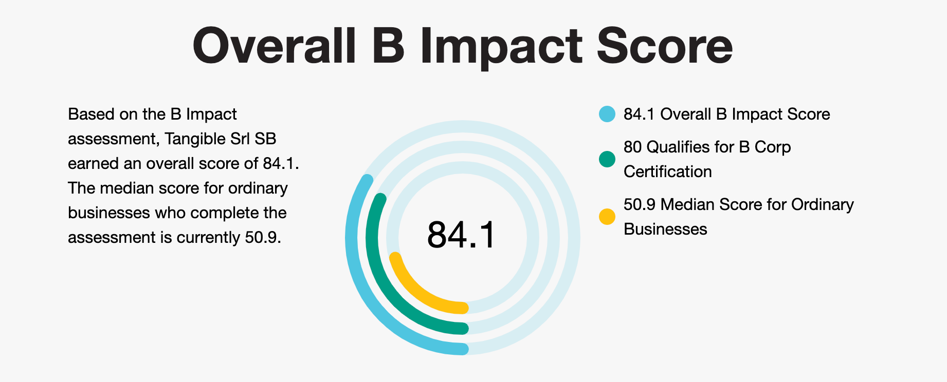 Il punteggio di Tangible al momento della certificazione come B Corp