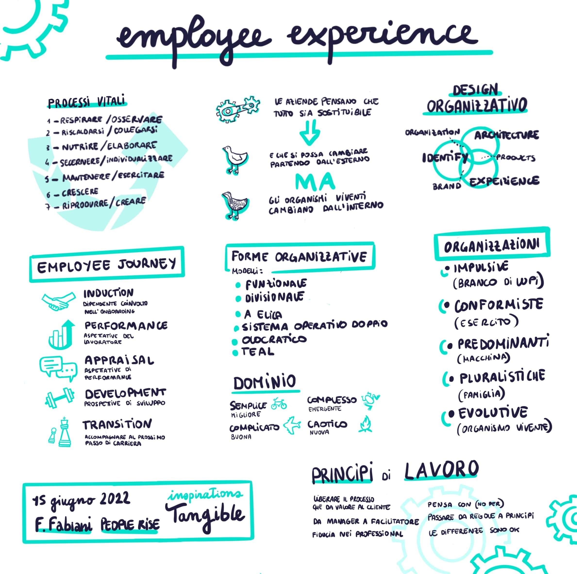 Infografica riassuntiva dell'intervento di Flavio Fabiani