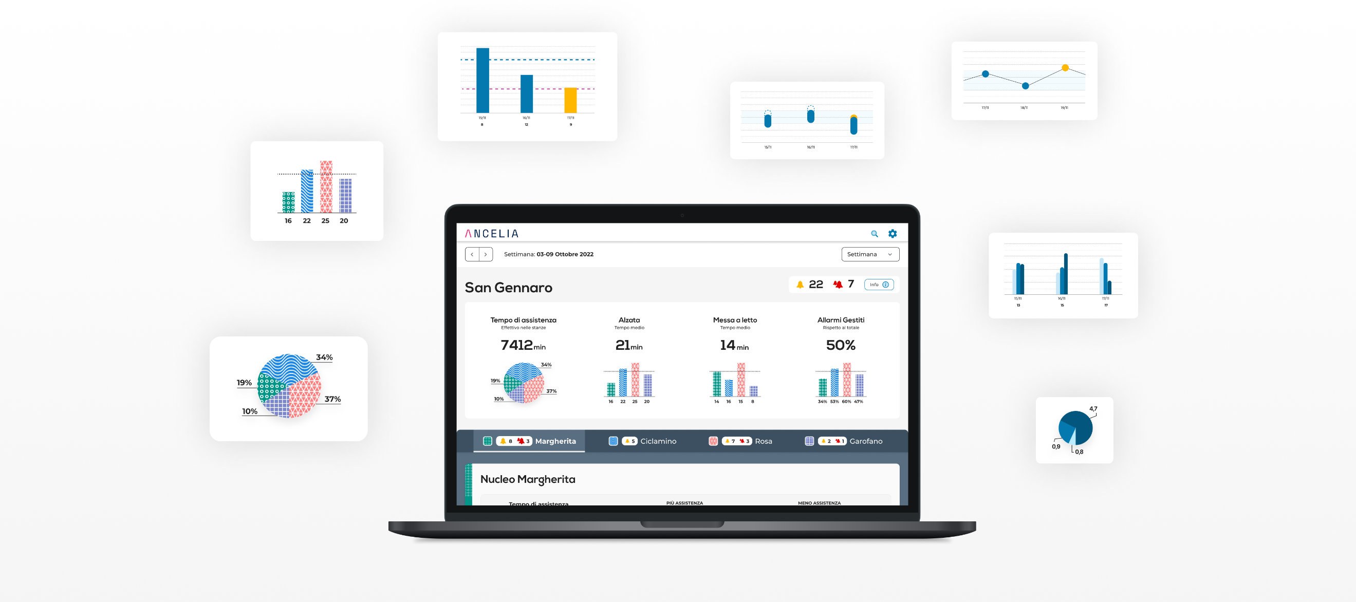 Immagine che mostra una serie di grafici esemplificativi utilizzati nel sistema Ancelia